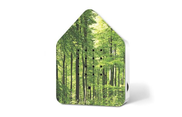 Zwitscherbox Forest